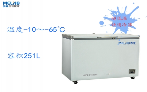 中科美菱-65℃超低溫冷凍存儲(chǔ)箱DW-GW251 中科美菱-65℃超低溫冷凍存儲(chǔ)箱DW-GW251